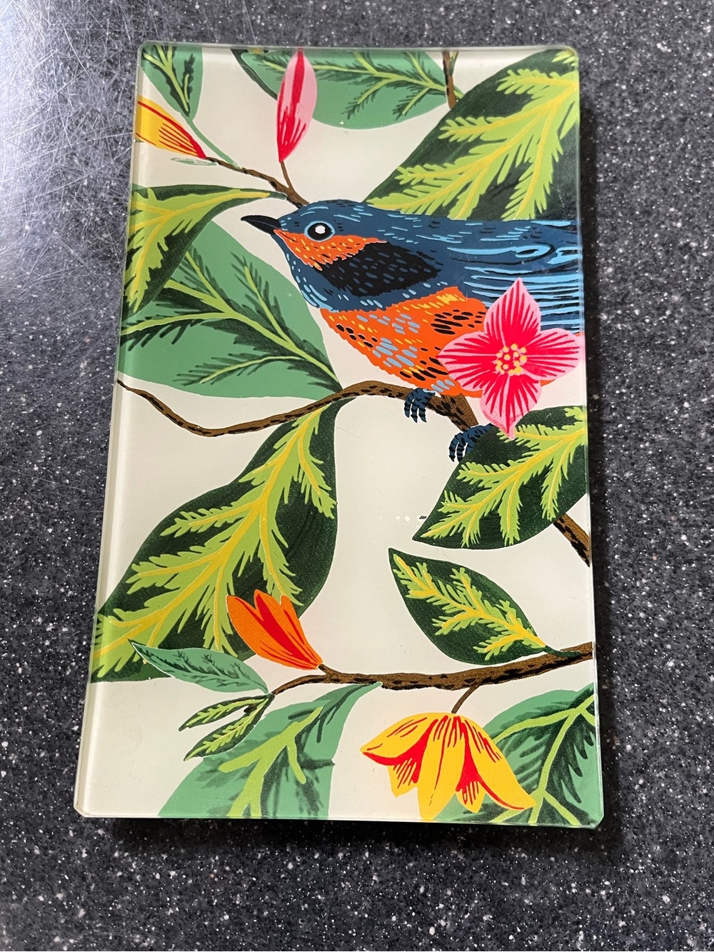 Pottery barn bird trinket dish, nwt 5x8